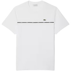 Kleidung Herren T-Shirts Lacoste TH9842 Weiss