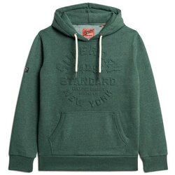 Kleidung Jungen Sweatshirts Superdry Sweatshirt à capuche à logo en relief Grün