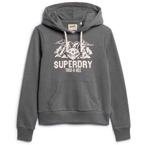 Kleidung Damen Sweatshirts Superdry Sweatshirt à capuche à motif femme  Lo-fi Outdoor Grau