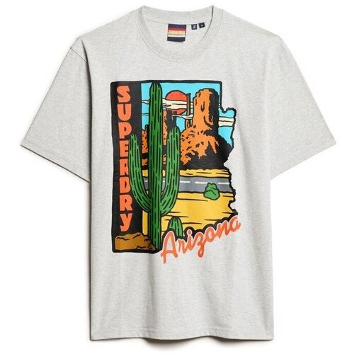 Kleidung Herren T-Shirts Superdry T-shirt à motif  Travel Postcard Grau
