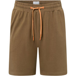 Kleidung Herren Shorts / Bermudas Vadi Jewels Short  Hazen Grün