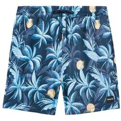 Kleidung Herren Badeanzug /Badeshorts Hurley MBS0011030-H451 Blau