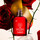 Beauty Damen Eau de parfum  Cacharel Amor Amor Eau de Parfum 100 ml Other