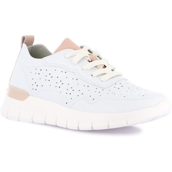 Schuhe Damen Sneaker Low Grunland DSG-SC0196 Weiss