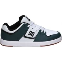 Schuhe Herren Multisportschuhe DC Shoes ADYS400073 CURE Weiss