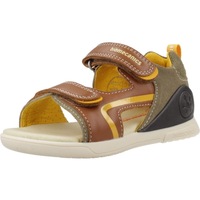 Schuhe Jungen Sandalen / Sandaletten Biomecanics 252146B Braun