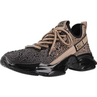 Schuhe Damen Sneaker Steve Madden MISTICA Braun