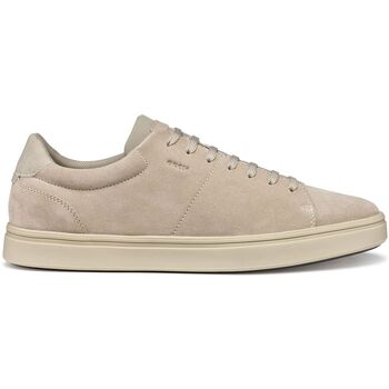 Geox  Sneaker Baskets  Baltmoore A günstig online kaufen