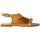 Schuhe Damen Sandalen / Sandaletten Elvio Zanon  Beige