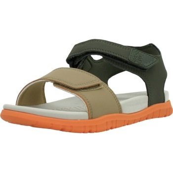 Schuhe Jungen Sandalen / Sandaletten Gioseppo 74466G Grün