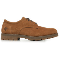 Schuhe Herren Derby-Schuhe & Richelieu Timberland Britton Square Lace Up Shoe Braun