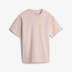 Kleidung Herren T-Shirts & Poloshirts Vans DETTORI LOOSE SS Rosa