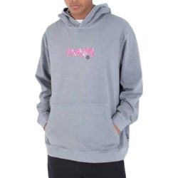 Kleidung Herren Sweatshirts Hurley M WAVE ADDICTION HOOD Grau