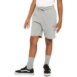 Kleidung Kinder Shorts / Bermudas Dickies  Grau