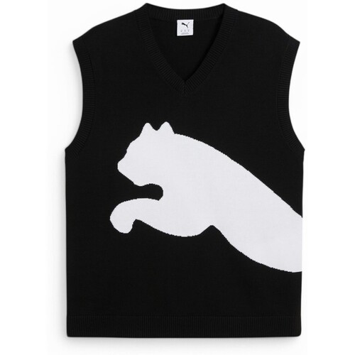 Kleidung Jacken Puma  Schwarz
