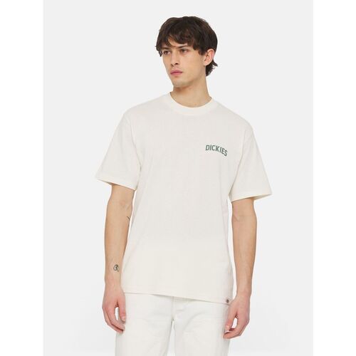 Kleidung Herren T-Shirts & Poloshirts Dickies ELLISTON TEE DK0A4YRM-CLOUD Beige