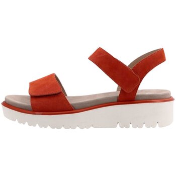 Schuhe Damen Sandalen / Sandaletten Ara Sandaletten Bilbao Sandalette poppy 12-33518-18 Rot