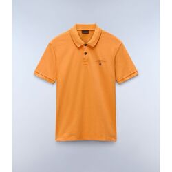 Kleidung Herren T-Shirts & Poloshirts Napapijri ELBAS JERSEY - NP0A4GB4-A701 APRICOT Weiss