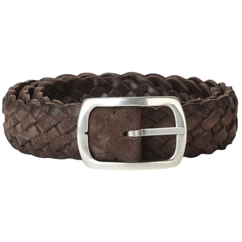 Accessoires Herren Gürtel Orciani U08169 Braun
