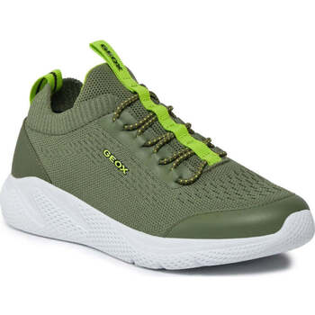 Schuhe Jungen Sneaker Low Geox  Grün