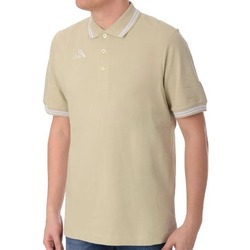 Kleidung Herren T-Shirts & Poloshirts Kappa 302MX50 Beige