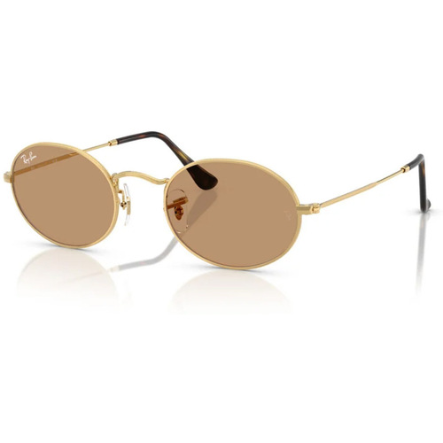 Uhren & Schmuck Sonnenbrillen Ray-ban Sonnenbrille  Oval RB3547N 001/53 Gold