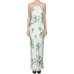 Kleidung Damen Kleider Max Mara VS000005141AE Blau