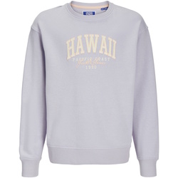 Kleidung Jungen Sweatshirts Jack & Jones Pullover DETROIT Sweatshirt Violett