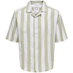 Kleidung Herren Langärmelige Hemden Only & Sons  Hemd TES Kurzarmhemd Braun