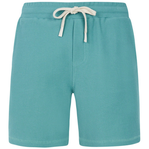 Kleidung Herren Shorts / Bermudas Protest Short  Graig Grün