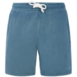 Kleidung Herren Shorts / Bermudas Protest Short  Tedor Blau