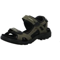 Schuhe Herren Sandalen / Sandaletten Ecco Offene  OFFROAD 069564/55894 Grün