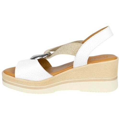 Zapp 1612 Weiss