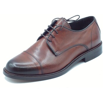Schuhe Herren Derby-Schuhe & Richelieu Exton 6620 Vitello Toscano Braun