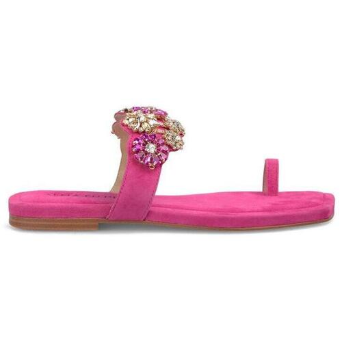 Schuhe Damen Sandalen / Sandaletten ALMA EN PENA V251913 Violett