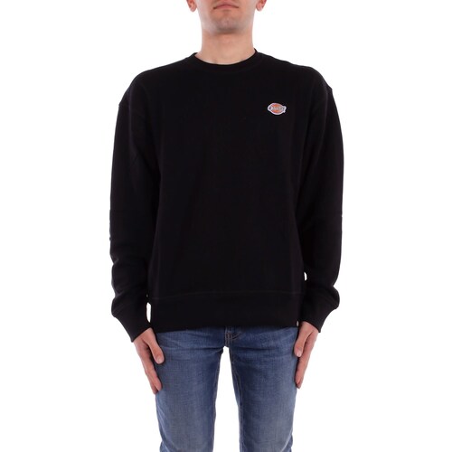 Kleidung Herren Pullover Dickies DK0A4YLZ Schwarz