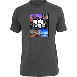 Kleidung Herren T-Shirts Mister Tee T-shirt  all the way up mahup Braun
