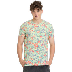 Kleidung Herren T-Shirts Ragwear T-shirt  Swann Beige