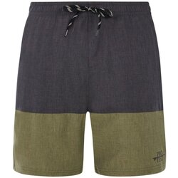 Kleidung Herren Badeanzug /Badeshorts Protest Sport Bekleidung PRTFreddie beachshort 71751021/458 Grün