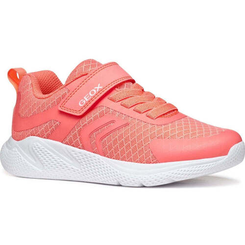 Schuhe Mädchen Sneaker Low Geox  Orange