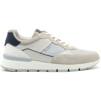 Schuhe Herren Sneaker NeroGiardini sneaker camoscio e tessuto Grau