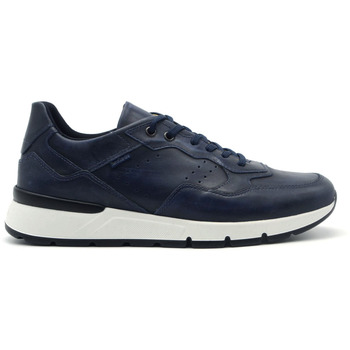 Schuhe Herren Sneaker NeroGiardini sneaker in pelle Blau