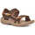 Schuhe Herren Sandalen / Sandaletten Teva Langdon Braun