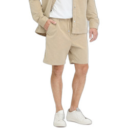 Kleidung Herren Shorts / Bermudas Ragwear Short  Wilcord Beige