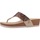 Schuhe Damen Sandalen / Sandaletten Gioseppo STODDARD Rosa
