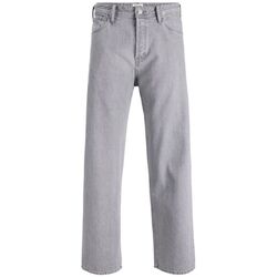 Kleidung Herren Jeans Jack & Jones 12249060 ALEX.-DENIM GREY Grau