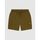 Kleidung Herren Shorts / Bermudas Dickies PELICAN RAPIDS  - DK0A4XB2-DKO1 DARK OLIVE Grün