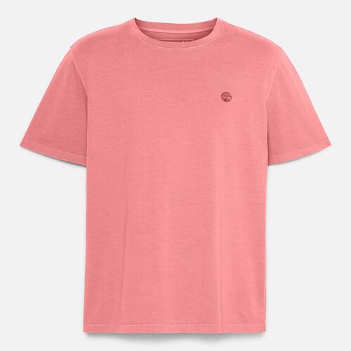Kleidung Herren T-Shirts & Poloshirts Timberland TB0A5YAY - DUNSTAN-EODY DKRE Rot