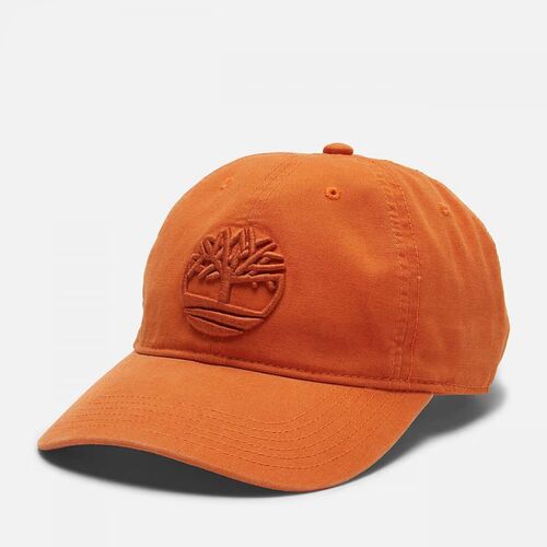 Accessoires Hüte Timberland TB0A61UJ SOUNDVIEW-8501 BURNT ORANGE Orange