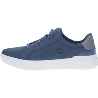 Schuhe Herren Sneaker Timberland  Blau